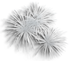 Transparent Silver Fireworks PNG Clipart