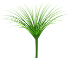 Tropical Green Leaf PNG Clip Art Image