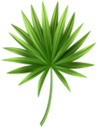 Tropical Leaf PNG Clip Art