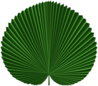 Tropical Leaf PNG Clipart
