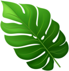 Tropical Leaf PNG Clipart