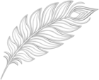 White Deco Feather PNG Clipart