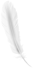 White Feather PNG Clip Art Image