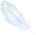 White Feather PNG Transparent Clipart