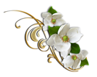 White Flower with Gold Decorative Elemant Clipart