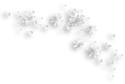 White Flowers Decorative PNG Clipart