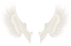 White Gold Wings PNG Clip Art Image