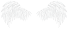 White Wings PNG Clip Art Image