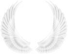 White Wings PNG Transparent Clipart