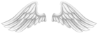 White Wings PNG Transparent Clipart