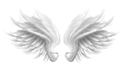 White Wings Transparent Clip Art Image