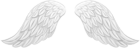 White Wings Transparent Clip Art PNG Image