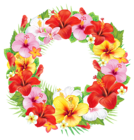 Wreath of Exotic Flowers PNG Clipart Picture