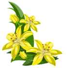 Yellow Exotic Flowers Decoration PNG Image