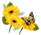 Yellow Gerberas with Butterfly PNG Clipart