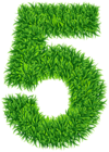 Five Grass Number Transparent Image