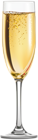 Glass of Champagne PNG Clip Art
