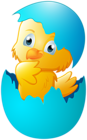 Chicken in Blue Easter Egg Transparent Image