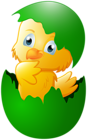 Chicken in Green Easter Egg Transparent Image