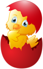 Chicken in Red Easter Egg Transparent Image
