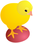 Chicken with Red Easter Egg PNG Clipart