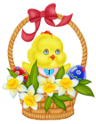 Easter Basket with Eggs Chicken and Daffodils PNG Picture