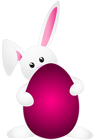 Easter Bunny PNG Clip Art Image