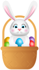 Easter Bunny PNG Transparent Clipart