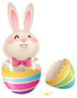 Easter Bunny in Egg PNG Clipart Image