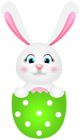 Easter Bunny on Green Egg PNG Clipart