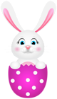 Easter Bunny on Pink Egg PNG Clipart