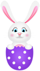 Easter Bunny on Purple Egg PNG Clipart