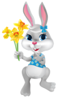 Easter Bunny with Daffodils PNG Clipart Picture