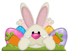 Easter Bunny with Eggs Transparent PNG Clipart