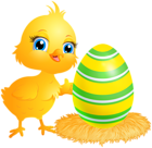 Easter Chicken Transparent Clip Art Image