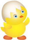 Easter Chicken Transparent PNG Clip Art Image