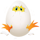 Easter Chicken in Egg PNG Clip Art Image