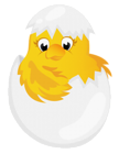 Easter Chicken in Egg Transparent PNG Clipart