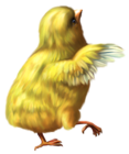 Easter Deco Chicken PNG Clipart Picture