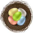 Easter Eggs in Bird Nest Transparent Image