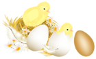 Easter Eggs and Chickens PNG Picture Clipart