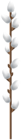 Easter Willow Branch PNG Clipart