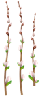 Easter Willow Branches PNG Clip Art