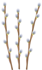 Easter Willow Branches Transparent Image