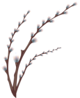 Easter Willow Tree Branch Transparent PNG Clip Art Image