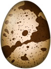 Quail Egg PNG Transparent Clipart