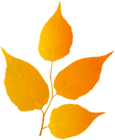 Autumn Branch with Leaves PNG Clipart