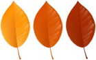 Autumn Colored Leaves PNG Clipart