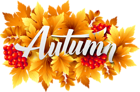 Autumn Decorative Image PNG Clipart