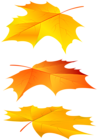 Autumn Falling Leaves PNG Clipart